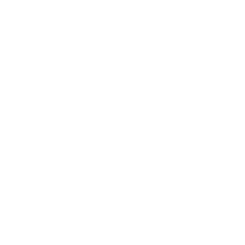 Award Winner DHL Innovation Award 2016