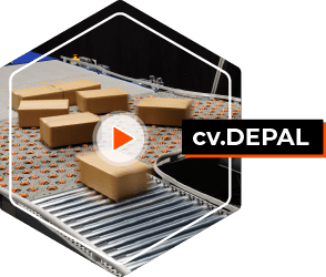 cv.DEPAL video start